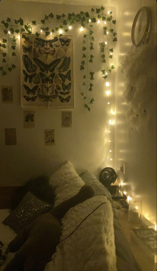 Cozy Den™ Fairy Lights