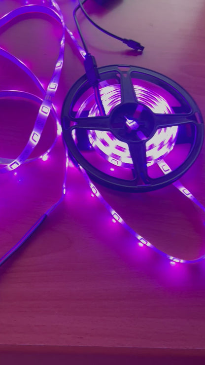 Cozy Den™ Strip Lights
